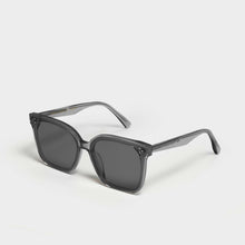 Load image into Gallery viewer, HER-G1