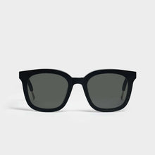 Load image into Gallery viewer, PAPAS-01