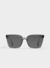 Load image into Gallery viewer, TEGA-G1
